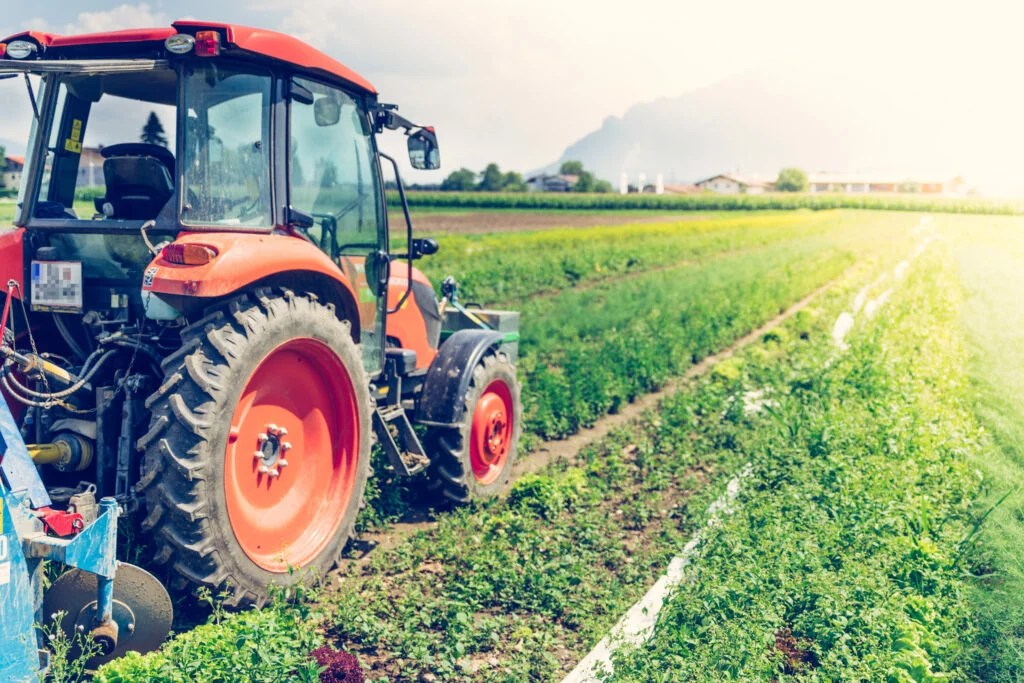 Ausbau des ökologischen Landbaus: Nachhaltigkeit für eine zukunftsfähige Landwirtschaft