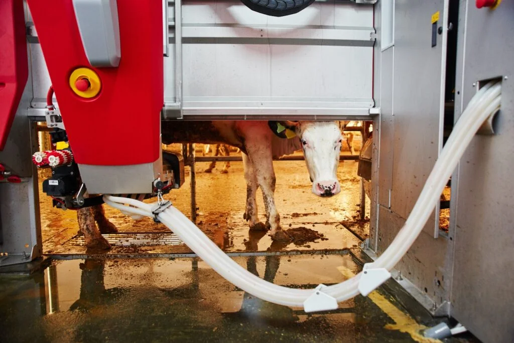 Robotik und Automatisierung in der Landwirtschaft: Präzision und Effizienz für die ZukunftLandwirtschaft im Wandel: