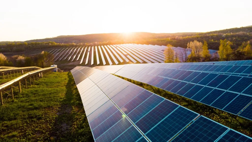 Solarboom geht weiter: Freiflächen-PV (Landwirtschaft) legt 74 Prozent zu