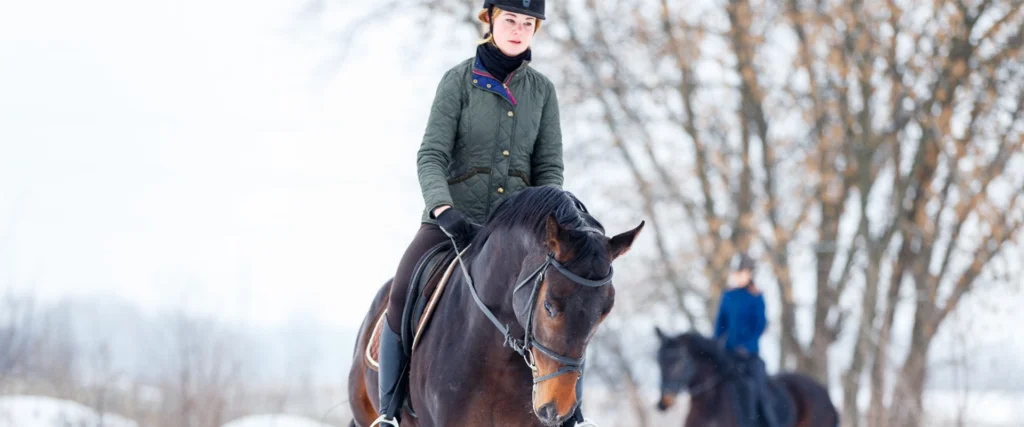 Gesundheit der Pferde in der kalten Jahreszeit: Worauf Pferdebesitzer achten sollten