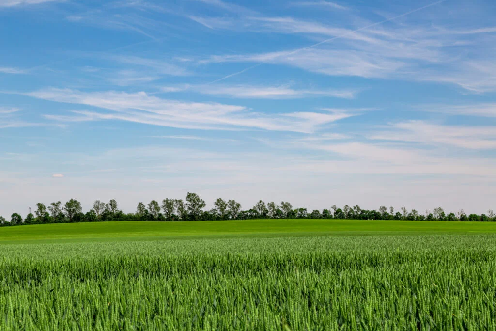 GAP-Reform: Keine Flächenprämie ab 2027