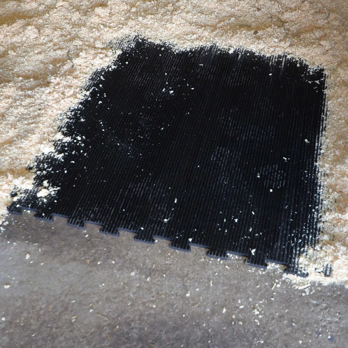 MD Kellfri Reitbahnplaner