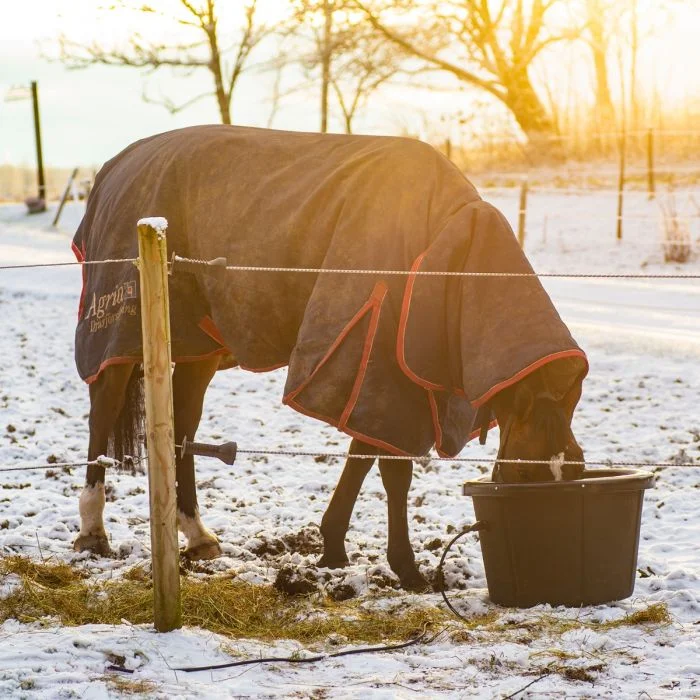 MD Kellfri Reitbahnplaner