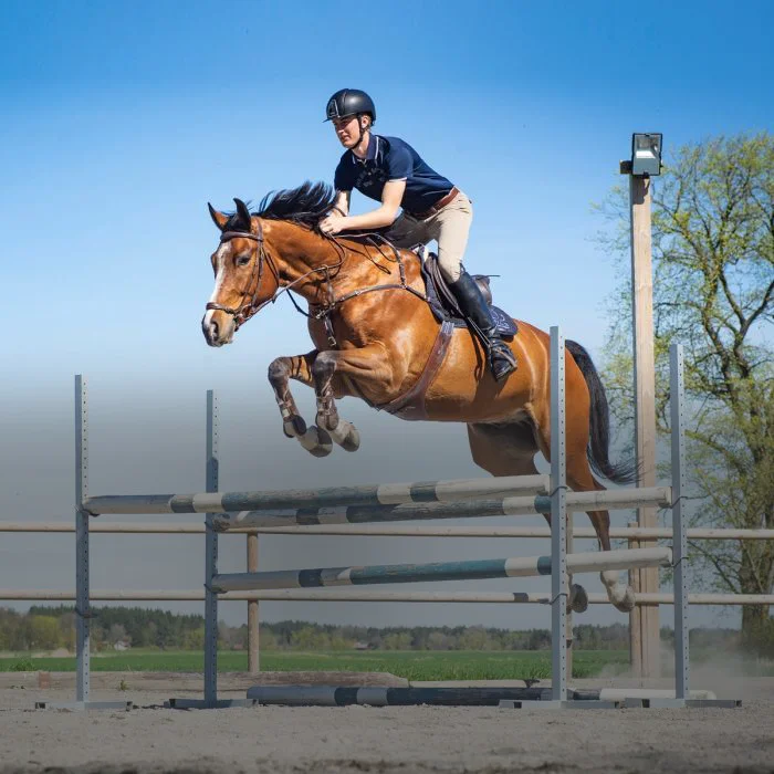 MD Kellfri Reitbahnplaner